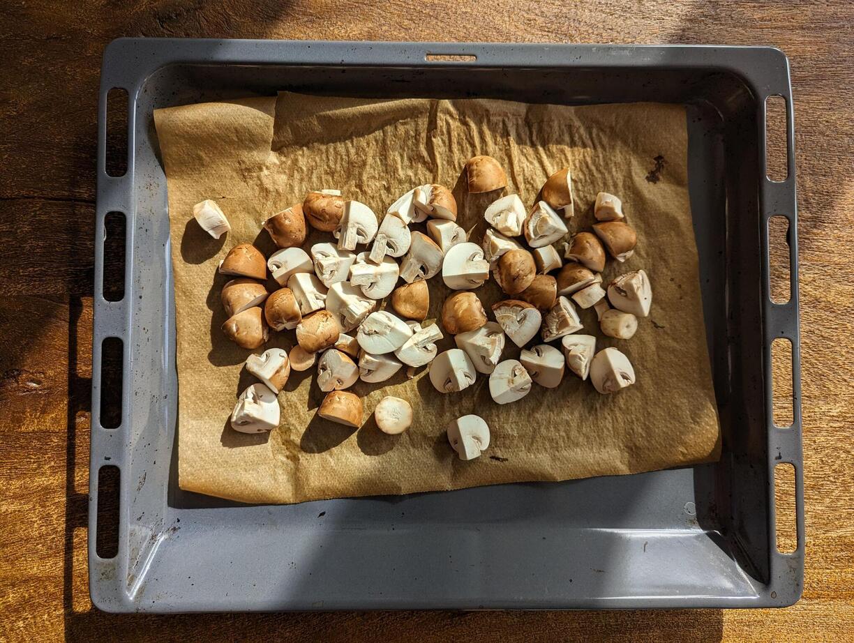 Mushrooms on a tray